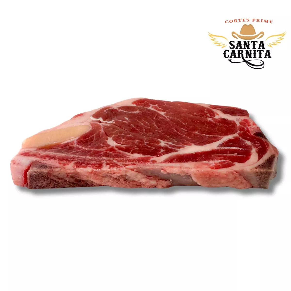 Aguja Norteña