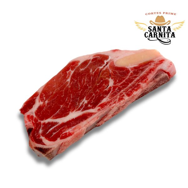 Aguja Norteña